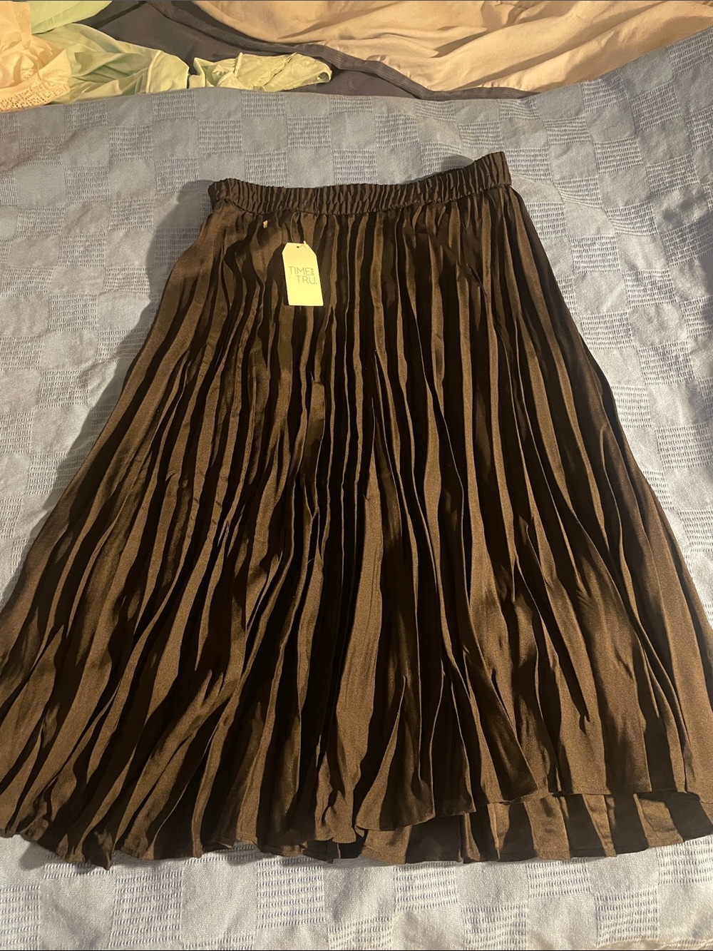 Time and Tru Brown Pleated Midi Skirt